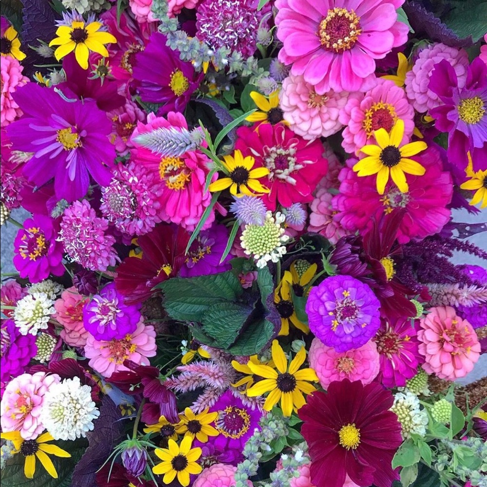 Meet your Posher, Steph